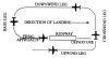 Components of a Traffic Pattern