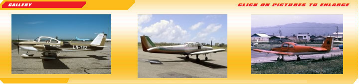 D-EGAM, Fuji FA-200-180 Aero Subaru, Private, Daniel Klein
