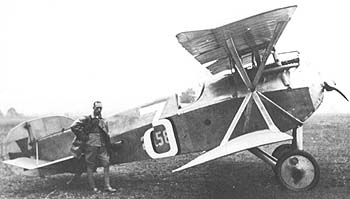 Johann Risztics' Hansa-Brandenburg D.I